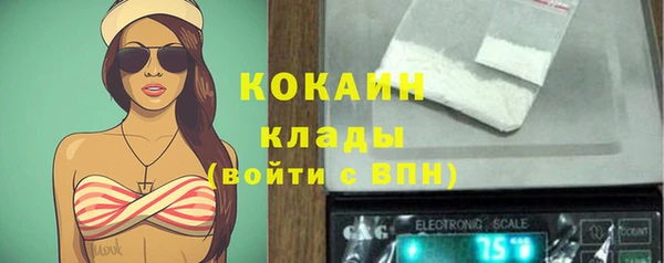 мдпв Бронницы