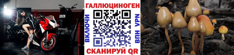 Галлюциногенные грибы MAGIC MUSHROOMS  блэк спрут сайт  Салават 